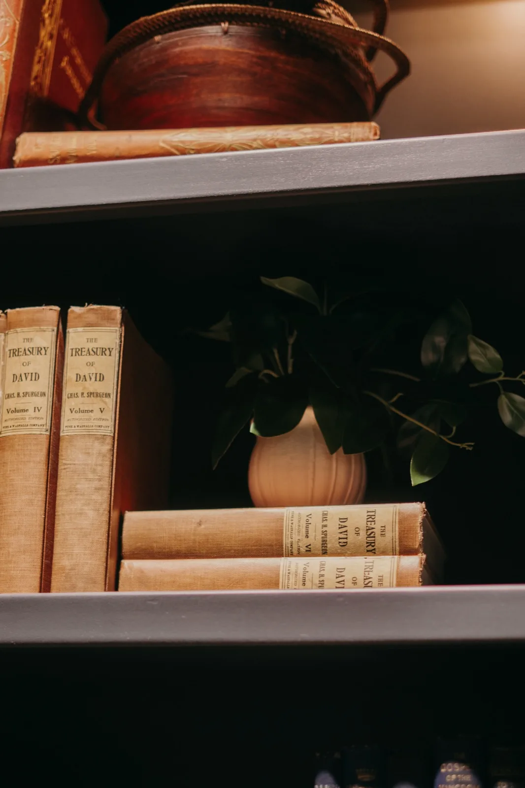 Vintage volumes of The Treasury of David beside a small potted plant